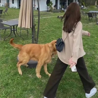 我们的样子像极了爱情